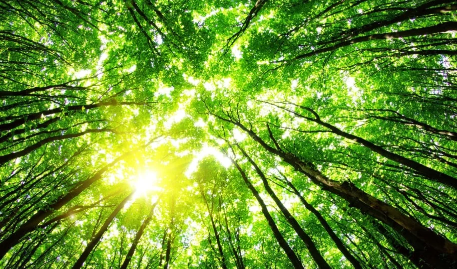 فناوری‌های سبز در مهندسی شیمی سلول‌های خورشیدی در مهندسی شیمی انرژی تجدیدپذیر